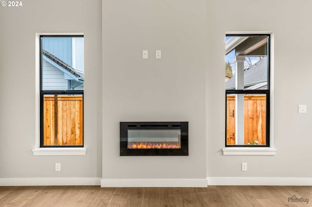 room details with hardwood / wood-style floors