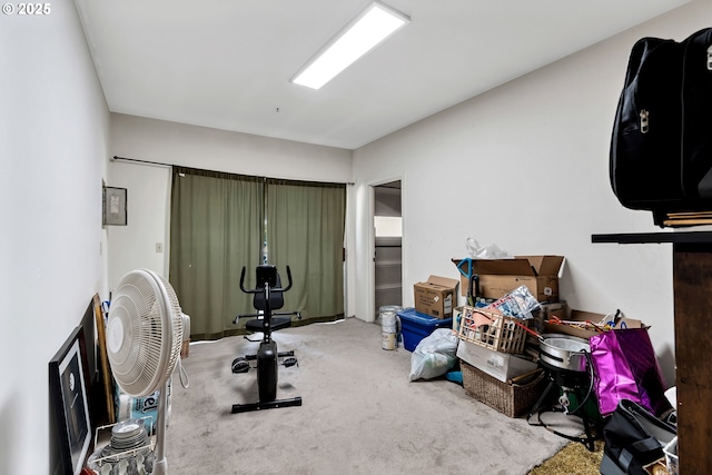 17222 SW Blanton St, Beaverton, OR 97078 - workout area featuring carpet floors