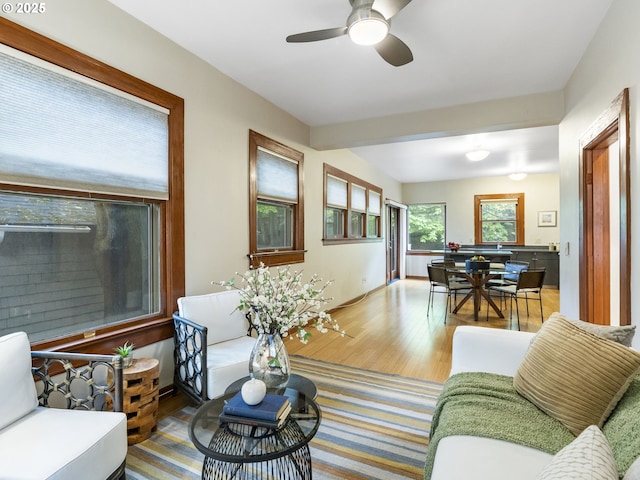 living room with a ceiling fan and wood finished floors