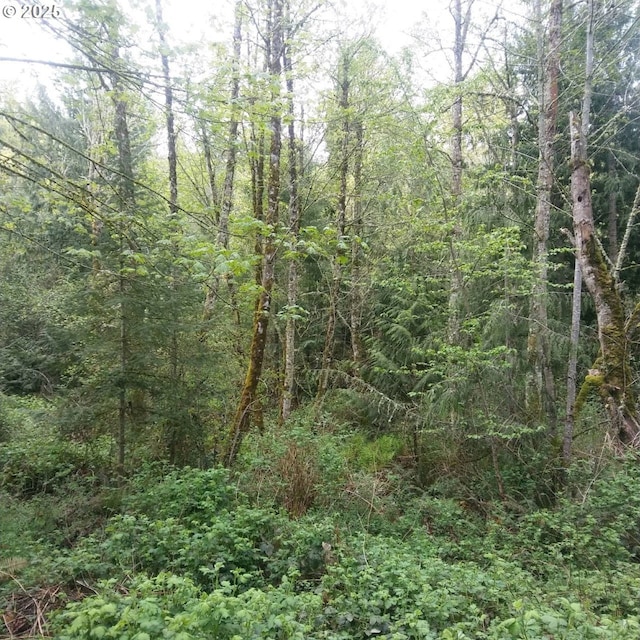 35517 S Aqua Springs Rd, Molalla OR, 97038 land for sale