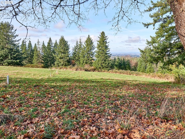 35517 S Aqua Springs Rd, Molalla, OR 97038