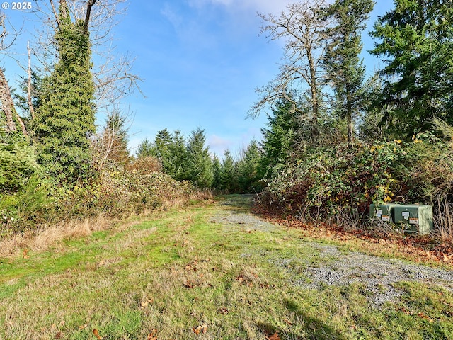 35517 S Aqua Springs Rd, Molalla, OR 97038