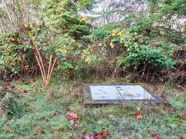 35517 S Aqua Springs Rd, Molalla, OR 97038