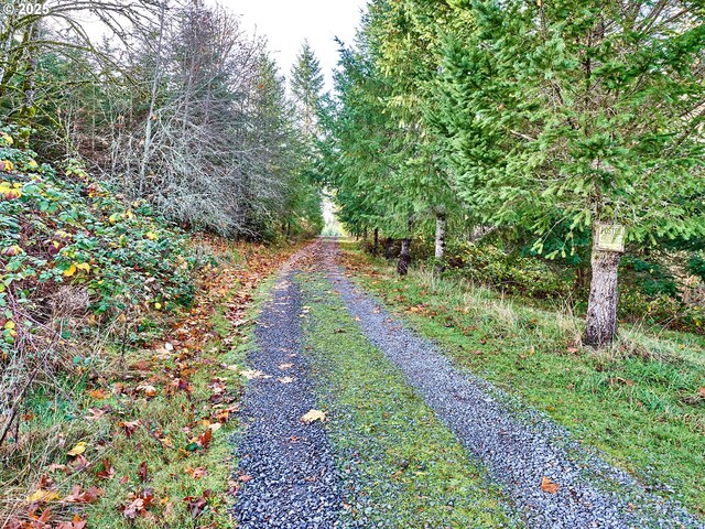 35517 S Aqua Springs Rd, Molalla, OR 97038