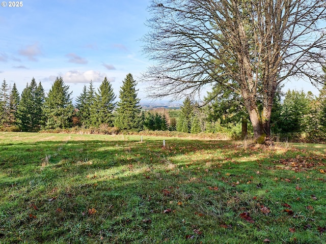 35517 S Aqua Springs Rd, Molalla, OR 97038