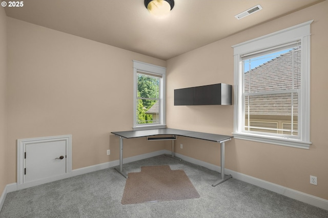 unfurnished office featuring light colored carpet