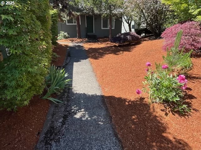 6654 SW Capitol Hwy, Portland, OR 97219 - view of yard