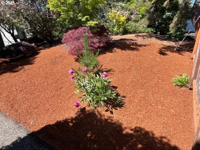 6654 SW Capitol Hwy, Portland, OR 97219 - view of yard
