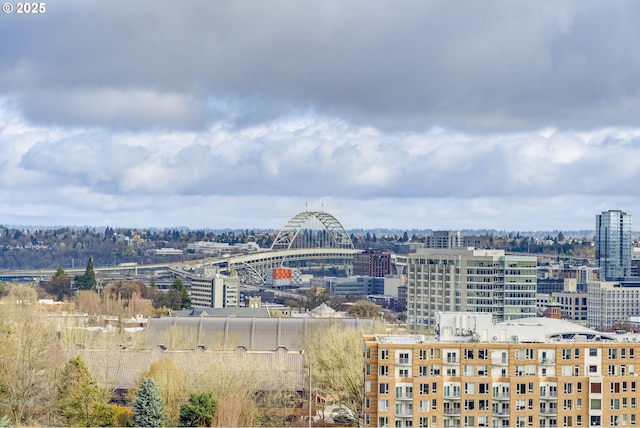 property's view of city