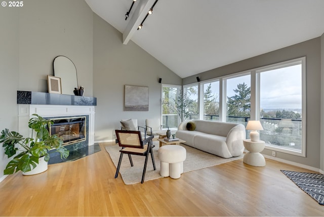 living room featuring a wealth of natural light, a fireplace with flush hearth, and wood finished floors