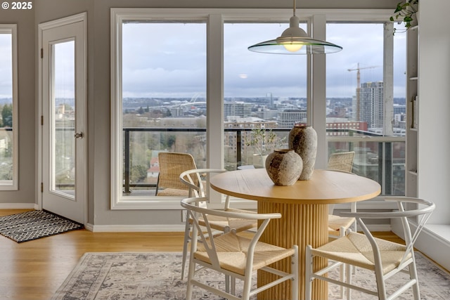 dining room featuring a city view, plenty of natural light, baseboards, and wood finished floors