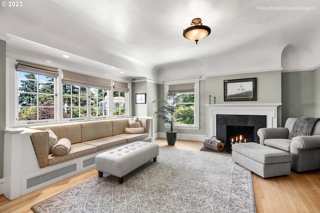 living room with a fireplace and wood-type flooring