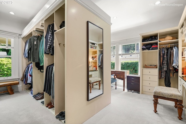 walk in closet featuring light colored carpet