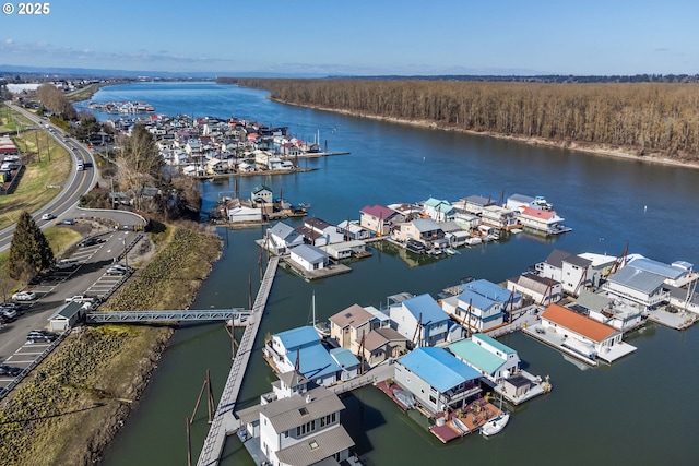 bird's eye view with a water view