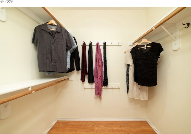 3540 S Corbett Ave, Portland, OR 97239 - spacious closet featuring light wood finished floors