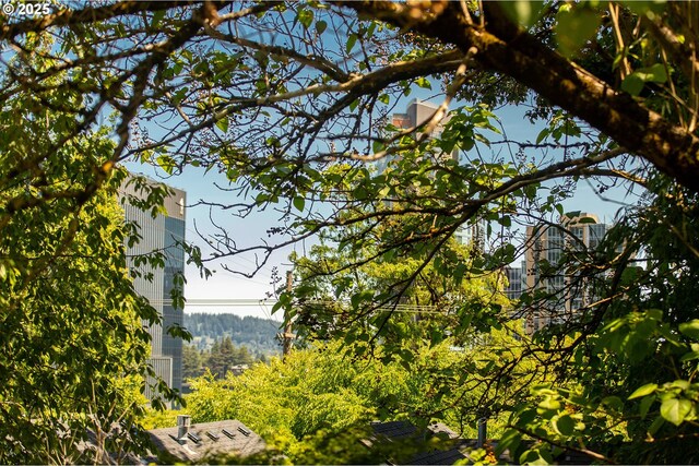 3540 S Corbett Ave, Portland, OR 97239 - view of mountain background