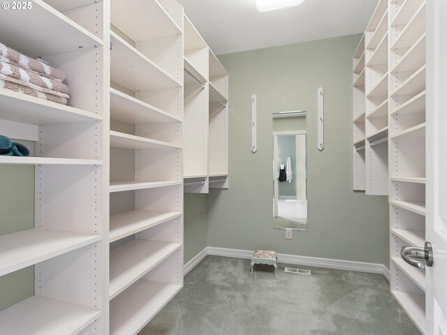 8801 SE Walnut Dr, Amity, OR 97101 - walk in closet with carpet floors