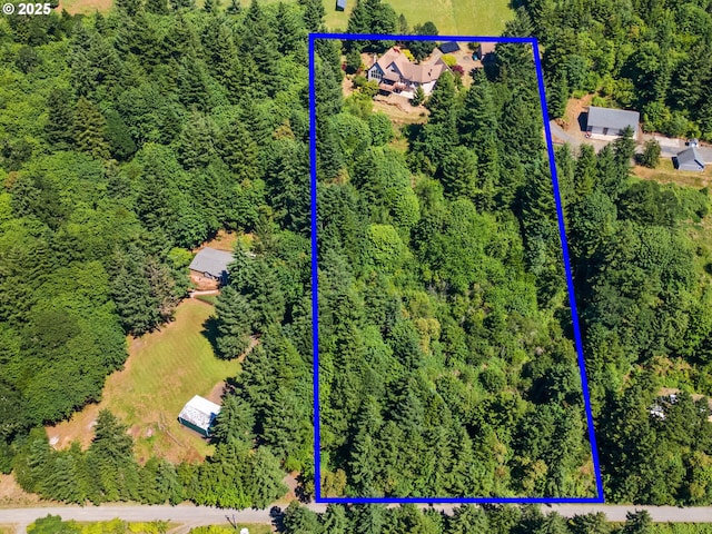 8801 SE Walnut Dr, Amity, OR 97101 - view of property location featuring a forest and property boundaries highlighted