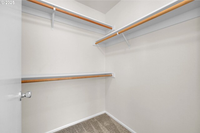 5298 Wales Dr, Eugene, OR 97402 - walk in closet with carpet floors