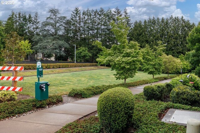 view of community featuring a yard
