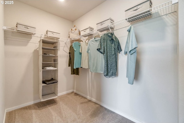 spacious closet featuring carpet flooring