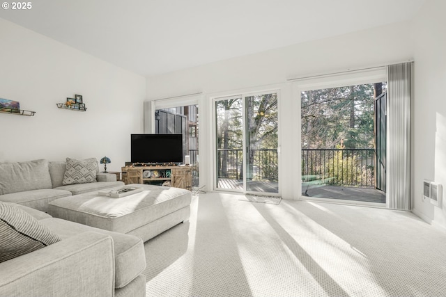 living room featuring carpet