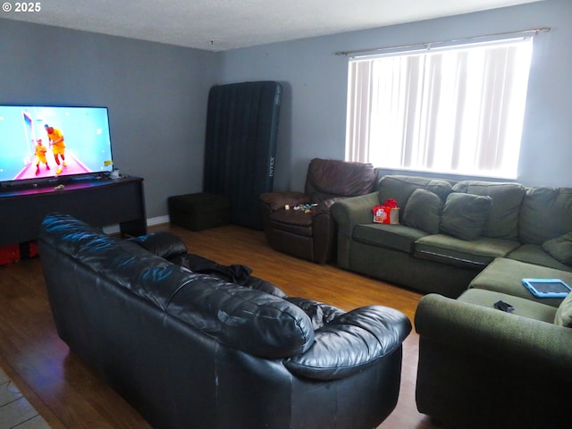 living room with wood finished floors