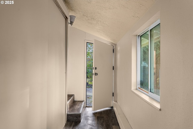 doorway to outside with dark wood-type flooring, a healthy amount of sunlight, lofted ceiling, and a textured ceiling