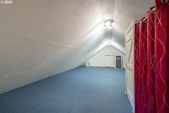 additional living space with vaulted ceiling, carpet floors, and a textured ceiling