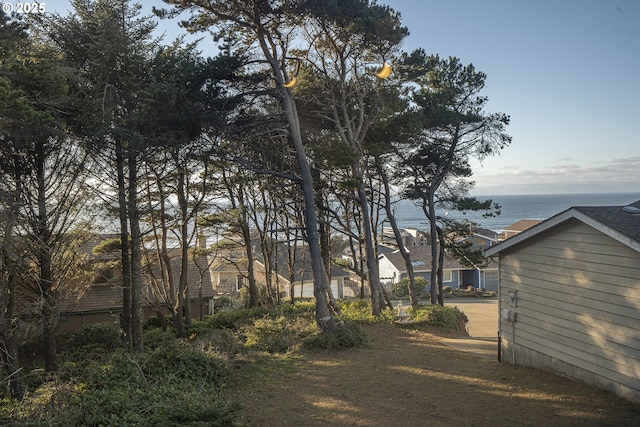 view of yard featuring a water view