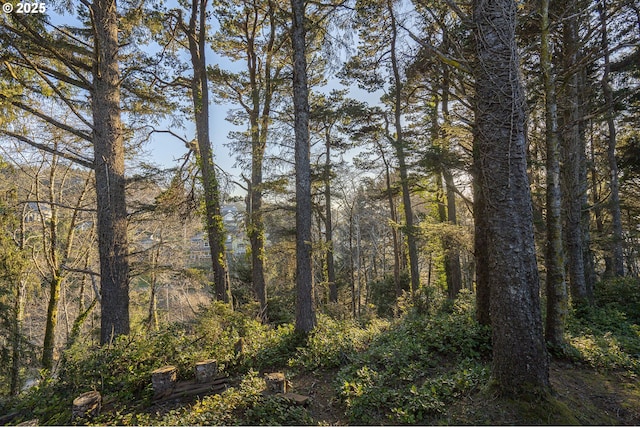 view of local wilderness