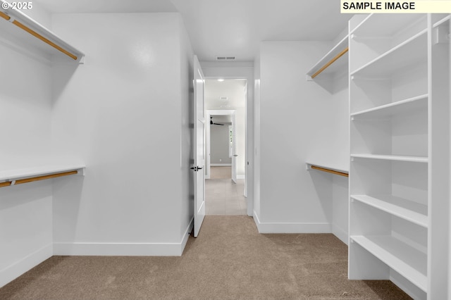 walk in closet with light carpet