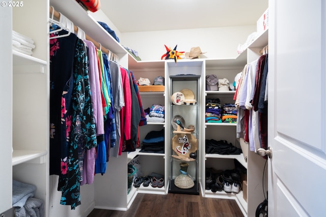 721 N Summerwood St, Roseburg, OR 97471 - walk in closet with wood finished floors