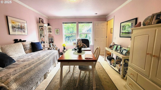 carpeted office space featuring crown molding and a textured ceiling