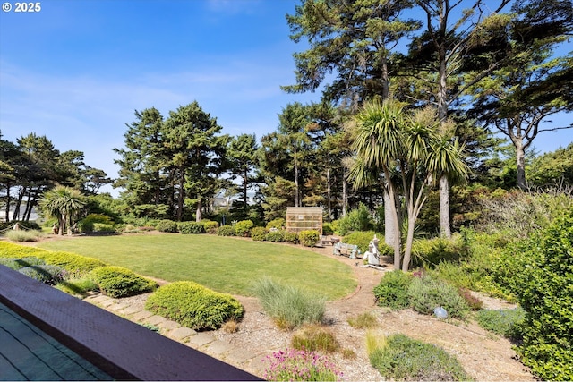 5220 SW Neal Ave, Waldport, OR 97394 - view of green lawn