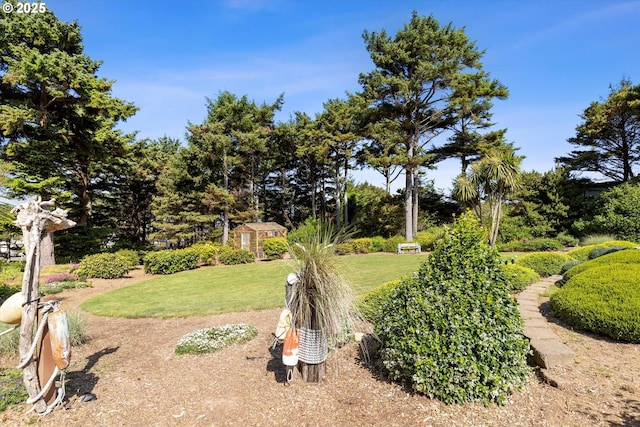 5220 SW Neal Ave, Waldport, OR 97394 - view of green lawn