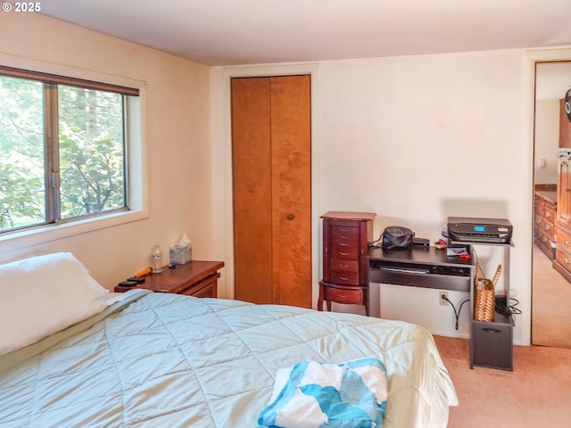 carpeted bedroom with a closet