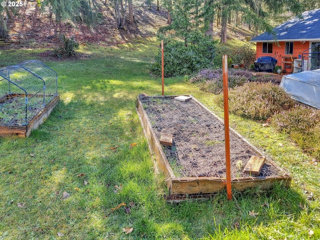 view of yard featuring a garden