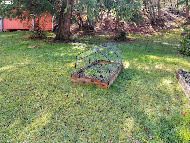 view of yard featuring a garden