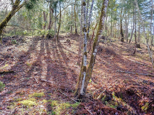 view of landscape featuring a view of trees