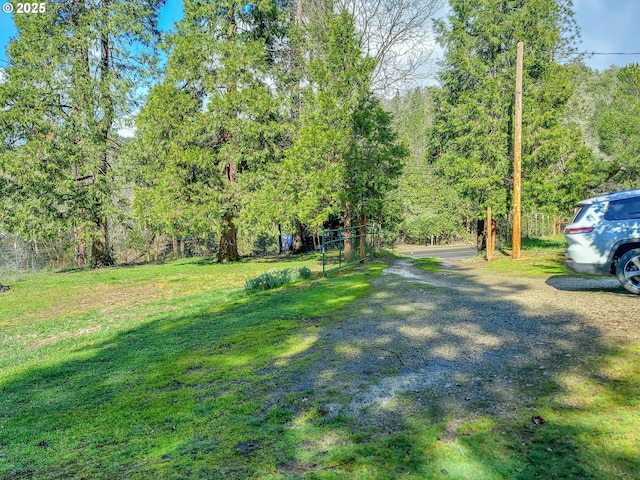 view of yard featuring a wooded view