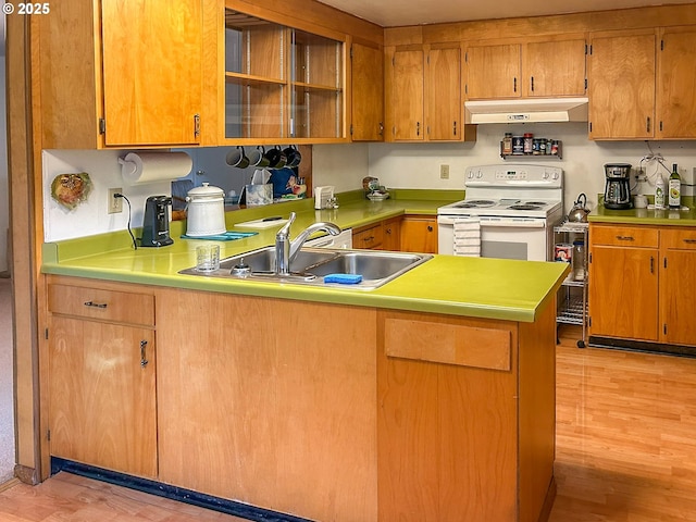 kitchen with a sink, light countertops, under cabinet range hood, and white range with electric stovetop