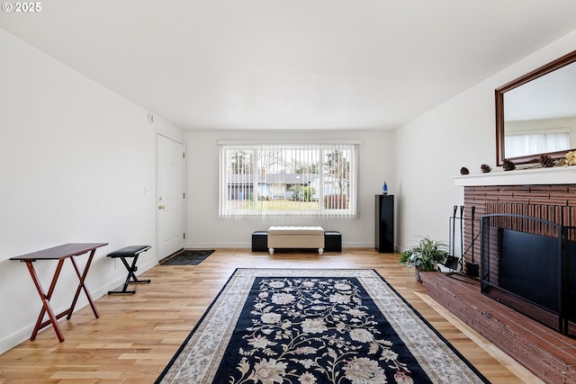 living room featuring a fireplace and light wood-type flooring