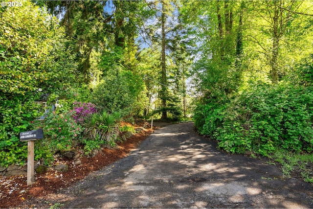 91822 Rulyville Rd, Westport, OR 97016 - view of street