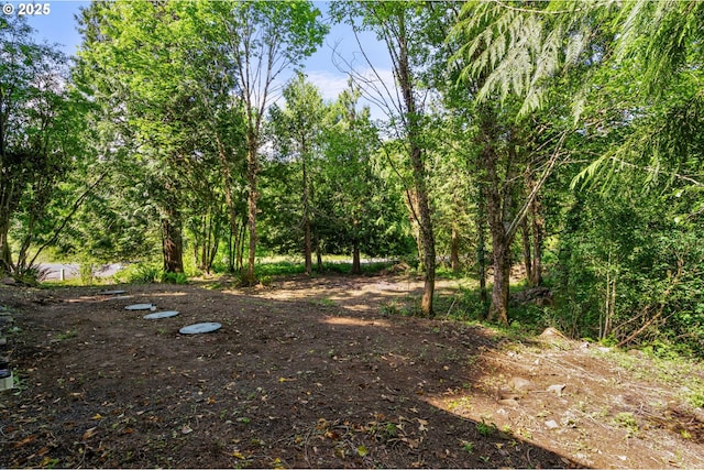 91822 Rulyville Rd, Westport, OR 97016 - view of nature