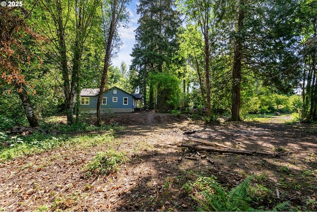 91822 Rulyville Rd, Westport, OR 97016 - view of yard