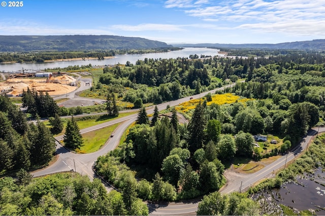 91822 Rulyville Rd, Westport, OR 97016 - aerial view of a nearby body of water and a forest