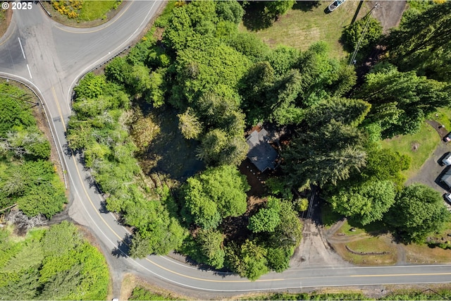 91822 Rulyville Rd, Westport, OR 97016 - aerial overview of property's location