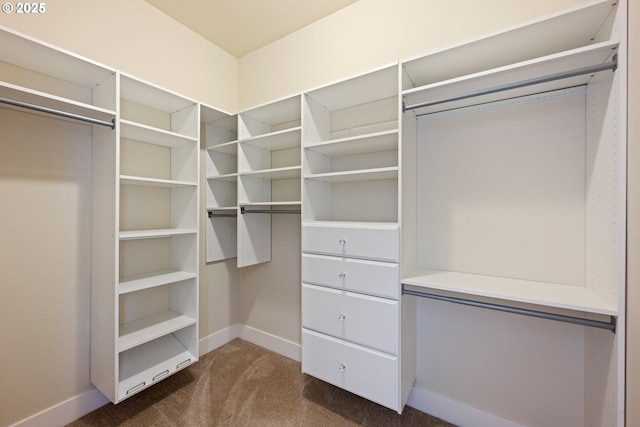 15152 NW Marie Way, Portland, OR 97229 - spacious closet with dark carpet