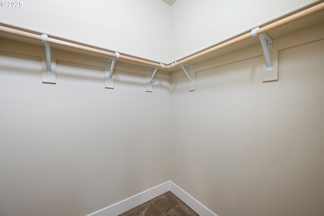 15152 NW Marie Way, Portland, OR 97229 - walk in closet with dark carpet